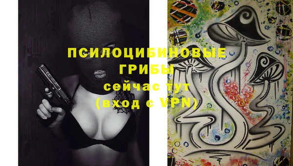 спиды Балабаново